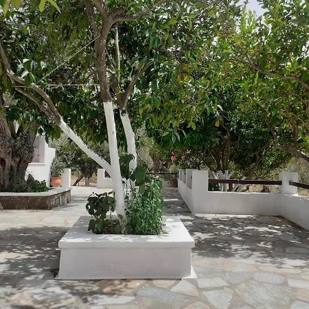 Villa Tillia Panormos  Exterior foto